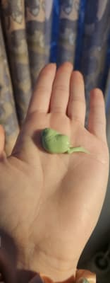 View Gallery Image #1