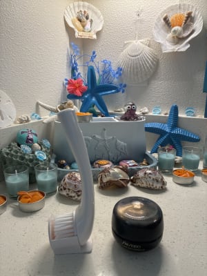 Cleansing Massage Brush | SHISEIDO