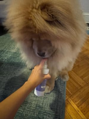 View Gallery Image #1