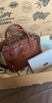 Tas fossil ryder hotsell satchel