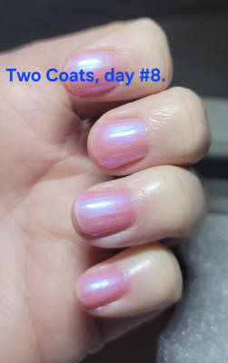 View Gallery Image #13