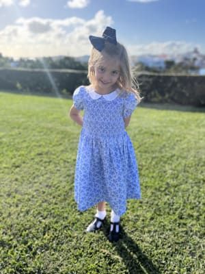 Janie and jack blue dress 2025