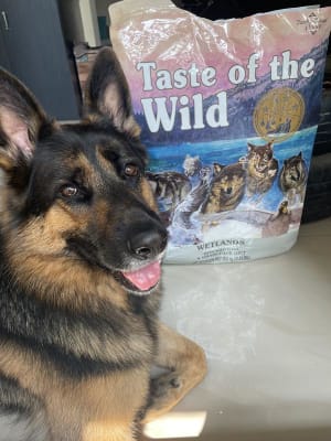 Taste of the wild roasted fowl review on sale