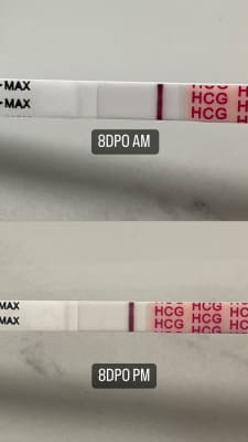 View Gallery Image #5