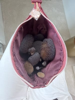 View Gallery Image #1