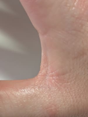 View Gallery Image #13