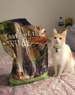 Taste of the wild sterilized on sale