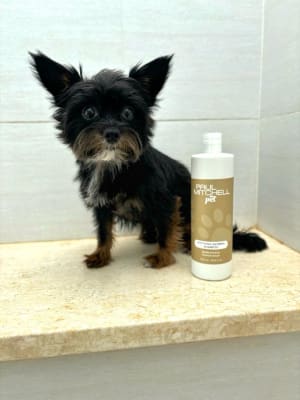 View Gallery Image #7