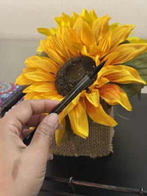 View Gallery Image #7