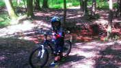 Trek mt 60 2025 boy