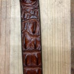 Australian Hornback Crocodile Leather Belt BROWN UPFW22 – Saratoga Saddlery  & International Boutiques