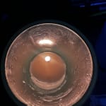 User submitted media 2 of 2