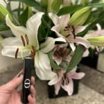 User submitted media 2 of 3