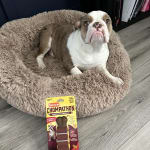 User submitted media 2 of 3