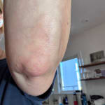 User submitted media 1 of 2