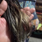 User submitted media 1 of 2