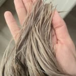 User submitted media