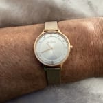 Skagen skw2151 store