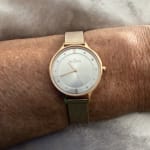 Anita Lille Rose Gold-Tone Steel Mesh Watch SKW2151 - Skagen