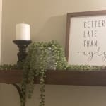 Faux String of Pearls Plant in Textured Pot