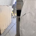User submitted media
