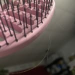 User submitted media 4 of 5