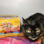 User submitted media