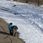 User submitted media 5 of 6