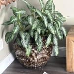 Brielle Round Rattan Basket