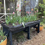 VegTrug® Patio Garden