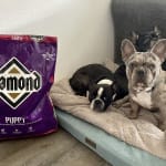 Diamond puppy chow clearance