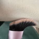 User submitted media 2 of 2