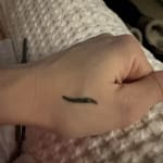 User submitted media 2 of 2