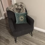 Sage Green Velvet Moon Beaded Throw Pillow - World Market