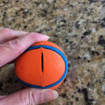 User submitted media 2 of 2