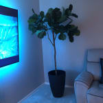 Faux Fiddle Leaf Fig Tree 72 Inch