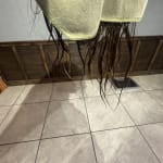 User submitted media 3 of 3