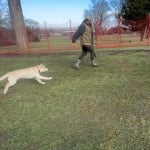 User submitted media 2 of 2