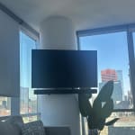 User submitted media