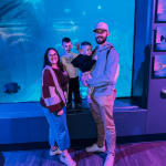 User submitted media