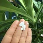 User submitted media 2 of 3