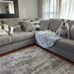 User submitted media