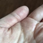 User submitted media 4 of 6