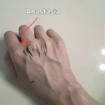 User submitted media