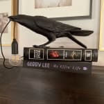 User submitted media