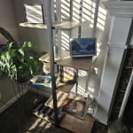 User submitted media