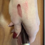 User submitted media 3 of 3