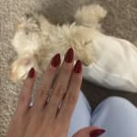 User submitted media 2 of 2