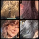 User submitted media