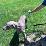 User submitted media 2 of 4